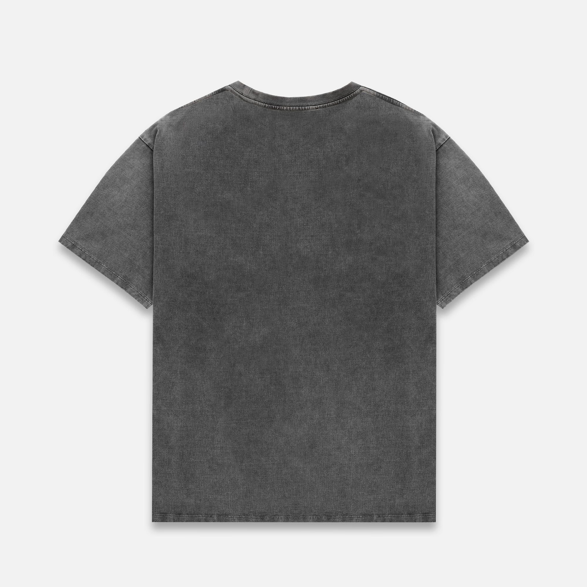 Pin Up II Washed Grey T-Shirt - Image 3